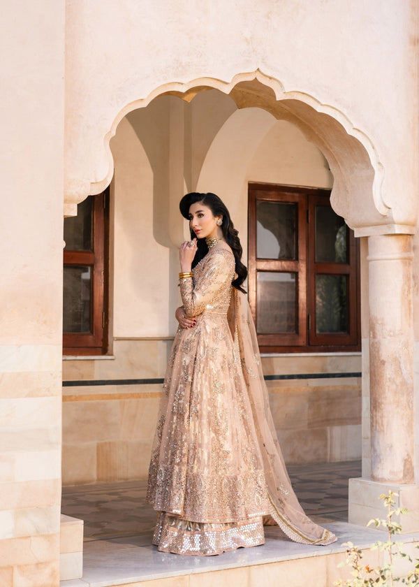 Wajeha Khan - Gulnoor Maxi, Lehenga with Dupatta - Image 6