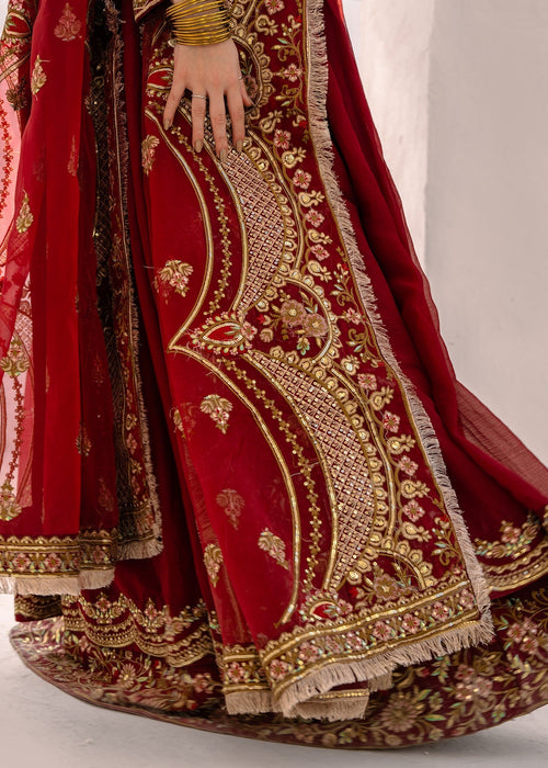 Anarkali, Lehenga with Dupatta - Image 8