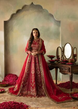 Sana Javed - Inara Top, Lehenga with Dupatta